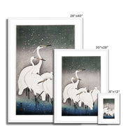 Group of Egrets Framed & Mounted Print