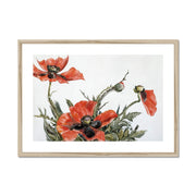 Red Poppies Framed & Mounted Print
