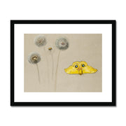 Study of White Daisy, Chamomile Stem with Two Petals, and a Chamomile Petal Framed & Mounted Print