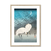 Egrets and Reeds in Moonlight Framed & Mounted Print