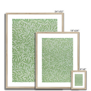 Willow Framed & Mounted Print