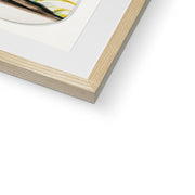 Two Parrots on a Barren Tree  Framed & Mounted Print