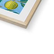 Four Fruits Framed & Mounted Print