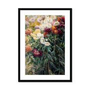 Chrysanthemums in the Garden at Petit–Gennevilliers Framed & Mounted Print