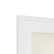 Hen Harrier male Framed & Mounted Print