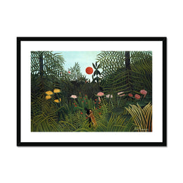 Virgin Forest with Sunset Framed & Mounted Print