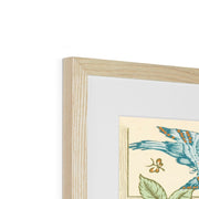 Trellis Framed & Mounted Print