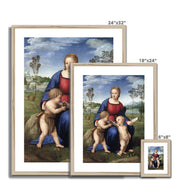 Madonna of the Goldfinch Framed & Mounted Print