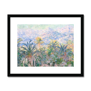 Palm Trees at Bordighera Framed & Mounted Print