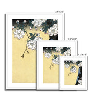 Japanese cherry blossoms Framed & Mounted Print