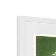 Peacock Framed & Mounted Print