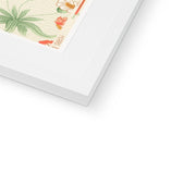 Daisy Framed & Mounted Print