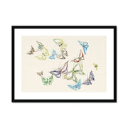 Vintage butterfly: Cho senshu (One Thousand Butterflies) Framed & Mounted Print