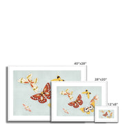 Japanese butterfly: Cho senshu (One Thousand Butterflies) Framed & Mounted Print