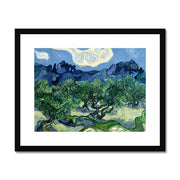 Olive Trees with the Alpilles in the Background Framed & Mounted Print