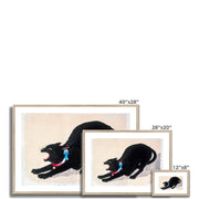 Black Cat Hissing Framed & Mounted Print