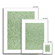 Willow Framed & Mounted Print