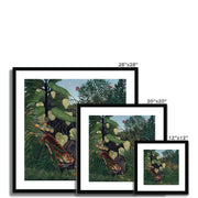 Fight between a Tiger and a Buffalo Framed & Mounted Print