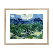 Olive Trees with the Alpilles in the Background Framed & Mounted Print