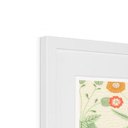 Daisy Framed & Mounted Print