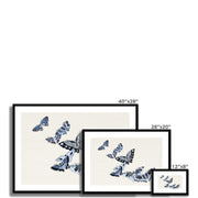 Japanese butterfly: Cho senshu (One Thousand Butterflies) 1 Framed & Mounted Print