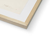 Five Butterflies Framed & Mounted Print