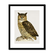 Eurasian eagle-owl Framed & Mounted Print