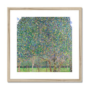 Pear Tree Framed & Mounted Print