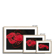 Lobster on Black Background Framed & Mounted Print