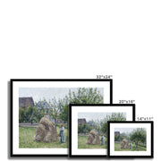 Apple trees in Eragny, sunny morning Framed & Mounted Print