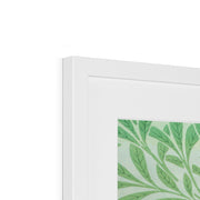 Willow Framed & Mounted Print