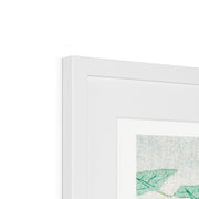 Carp or Koi Framed & Mounted Print