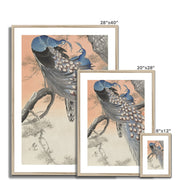 Two Peacocks on Tree Branch Framed & Mounted Print