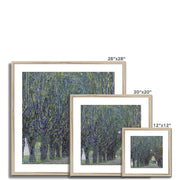 Allee at Schloss Kammer Framed & Mounted Print
