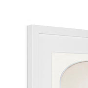 Two Parrots on a Barren Tree  Framed & Mounted Print