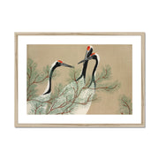 Cranes from Momoyogusa–Flowers of a Hundred Generations Framed & Mounted Print