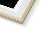 White Chinese Geese Swimming by Reeds Framed & Mounted Print