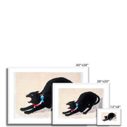 Black Cat Hissing Framed & Mounted Print