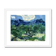 Olive Trees with the Alpilles in the Background Framed & Mounted Print