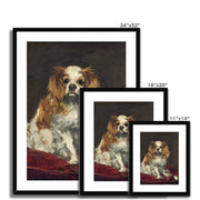 A King Charles Spaniel Framed & Mounted Print