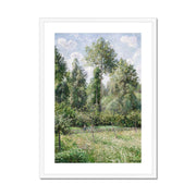 Poplars, Éragny Framed & Mounted Print