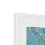 Almond blossom Framed & Mounted Print