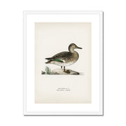 Teal Framed & Mounted Print