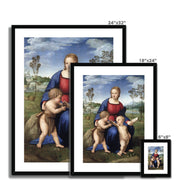 Madonna of the Goldfinch Framed & Mounted Print