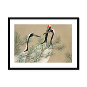 Cranes from Momoyogusa–Flowers of a Hundred Generations Framed & Mounted Print