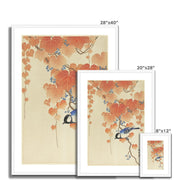 Great Tit on Paulownia Branch Framed & Mounted Print