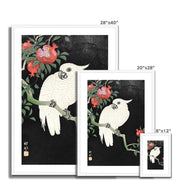 Cockatoo and Pomegranate Framed & Mounted Print