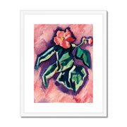 Pink Begonias Framed & Mounted Print