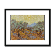 Olive Trees (1889) Framed & Mounted Print
