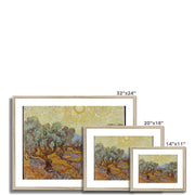 Olive Trees (1889) Framed & Mounted Print